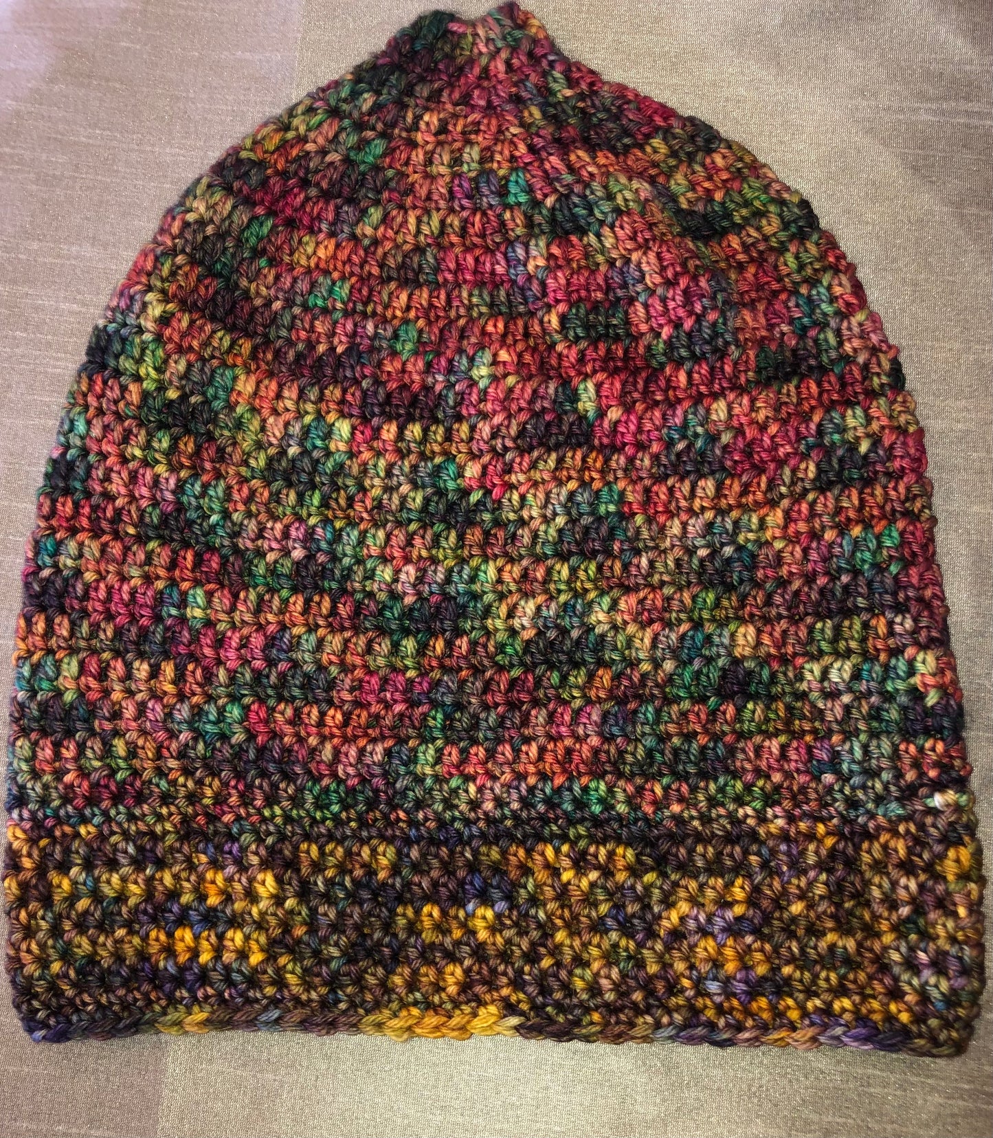 Earthy Brim Toned Long Beanie